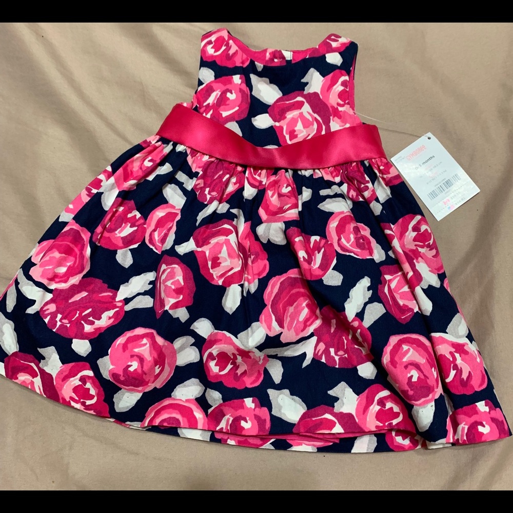 Gymboree Beautiful 0-3 Months Dress